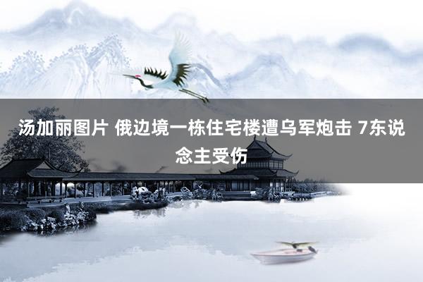 汤加丽图片 俄边境一栋住宅楼遭乌军炮击 7东说念主受伤